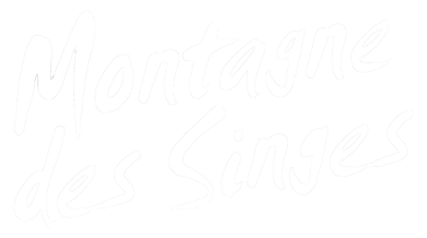 logo de la montagne des singes
