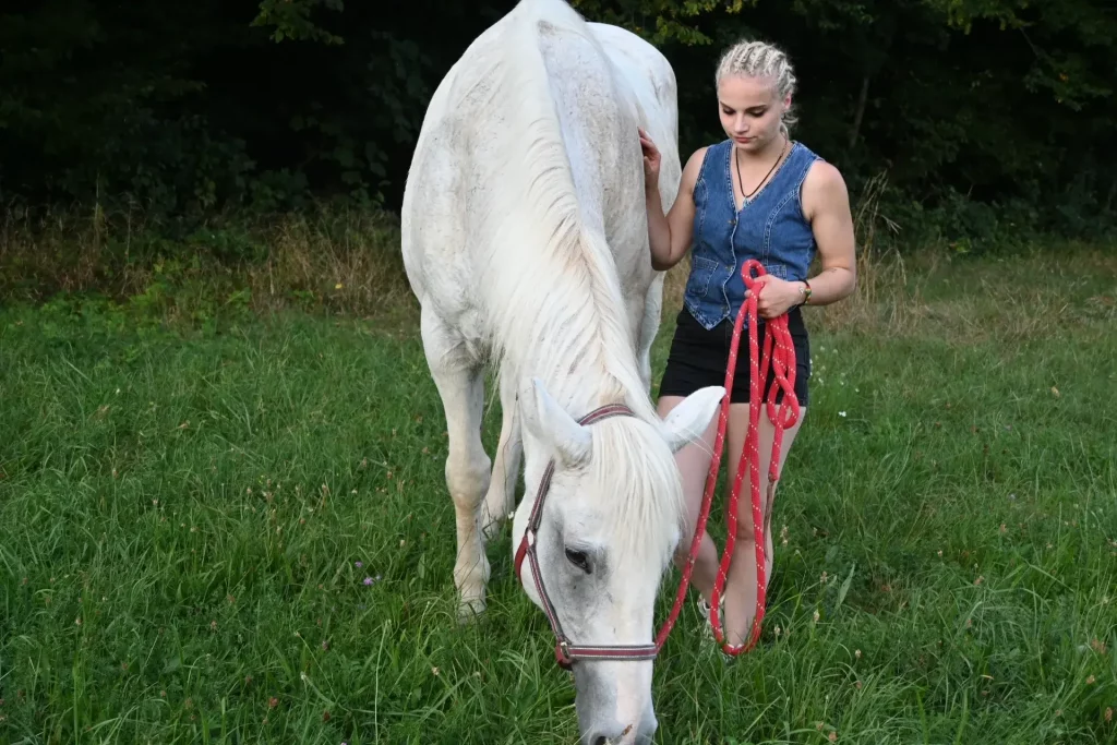 Une femme aux cheveux tressés promène un cheval blanc dans un champ verdoyant, tenant une longe rouge.